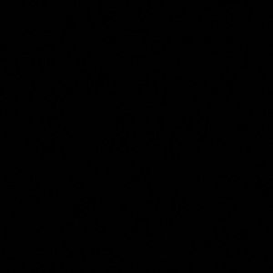 Meet your Posher, Breuanna